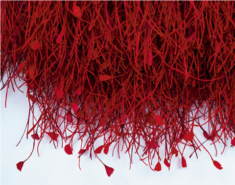 Grethe Wittrock: Heart Blood, 2003 Grethe Wittrock: Heart Blood, 2003