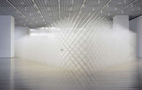 Ryuji Nakamura: cornfield (Installation) Ryuji Nakamura: cornfield (Installation)