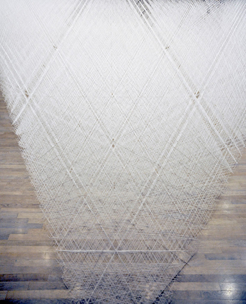 Ryuji Nakamura: cornfield (Installation at the National Museum of Modern Art Tokyo, 2010) Ryuji Nakamura: cornfield (Installation at the National Museum of Modern Art Tokyo, 2010)