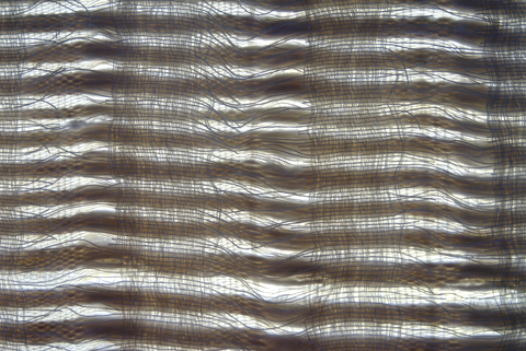 Handwoven Paper Yarn and Silk Fabric by PaperPhine / Linda Thalmann