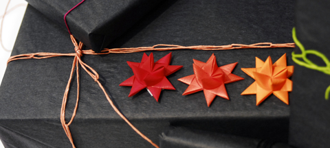 PaperPhine at the Formland Fair - Wrapping ideas with Paper Stars by Stjernestunder PaperPhine at the Formland Fair - Wrapping ideas with Paper Stars by Stjernestunder