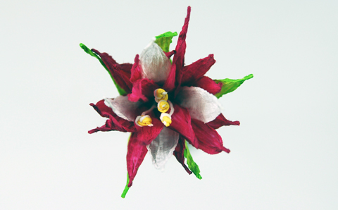 Paper Flower made of PaperPhine's Paper Twine / Paper String / Paper Cord Paper Flower made of PaperPhine's Paper Twine / Paper String / Paper Cord