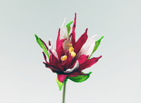 Paper Flower made of PaperPhine's Paper Twine / Paper String / Paper Cord Paper Flower made of PaperPhine's Paper Twine / Paper String / Paper Cord