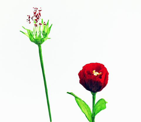 PaperPhine: Paper Twine Flowers PaperPhine: Paper Twine Flowers