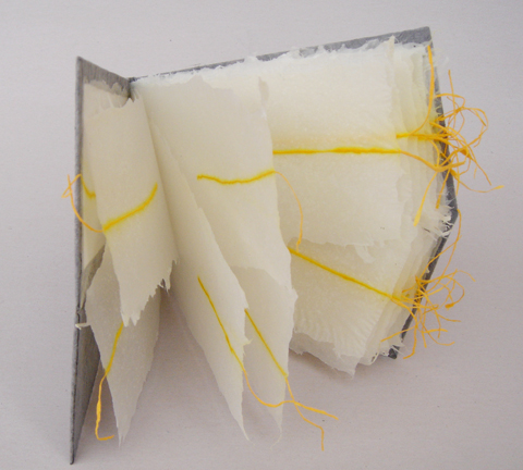 PaperPhine: Papermaking and Bookbinding with Paper Twines - A Handmade Paper Twine Book