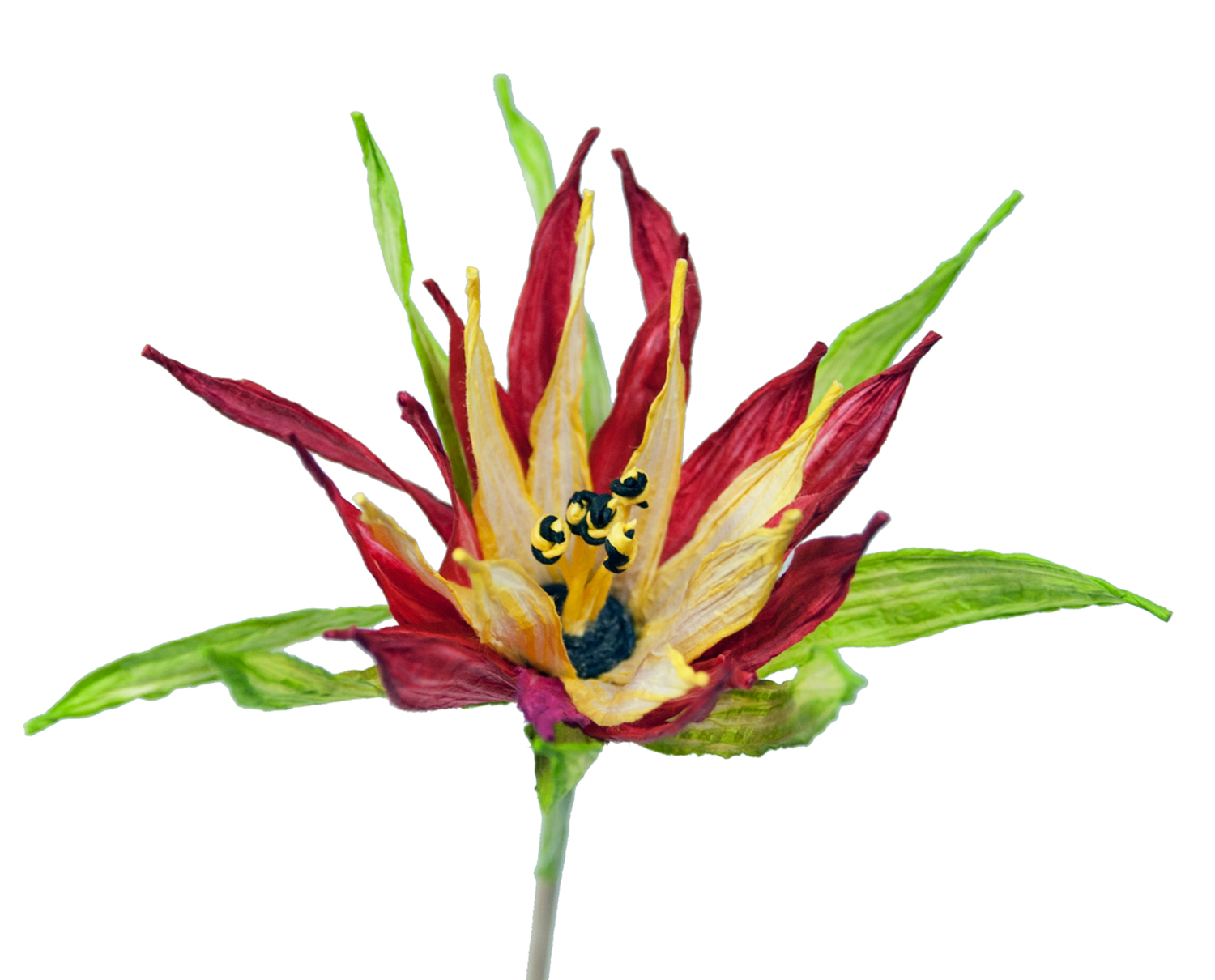 PaperPhine: PaperFlower - Paper Flower - Flower made of Paper Yarn
